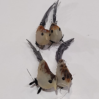 Craft Decoration Birds 4pcs Small