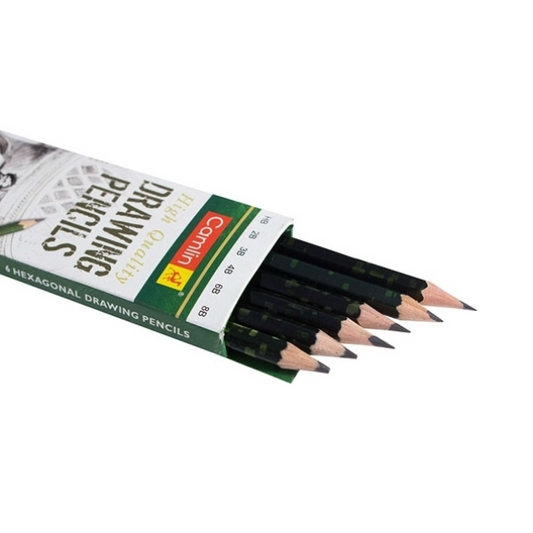 CamlinColour Pencil 6N