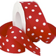 Craft Red Plastic Dotted Ribbon 1P