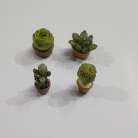 CRaft PRO Mntre Model Cactus N Pot MTR15