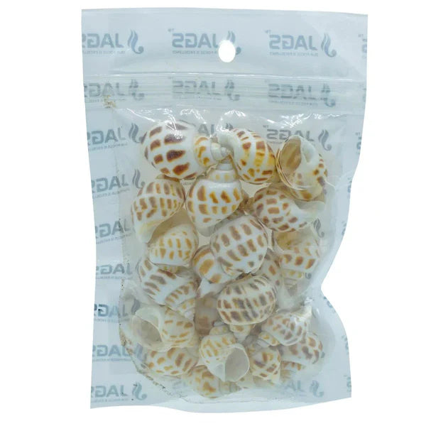 Jags Shells Shmall Forigen Puta Muttai 50GM SAS-61